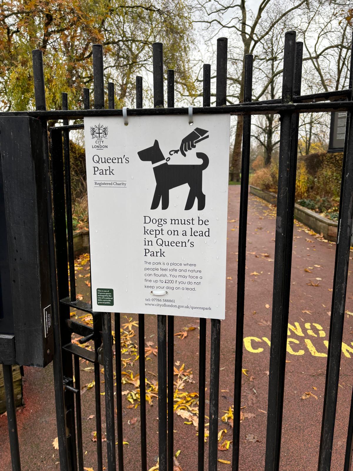 Dog on leash in London park